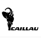 Купить газобаллонное оборудование гбо Caillau недорого с доставкой по Украине