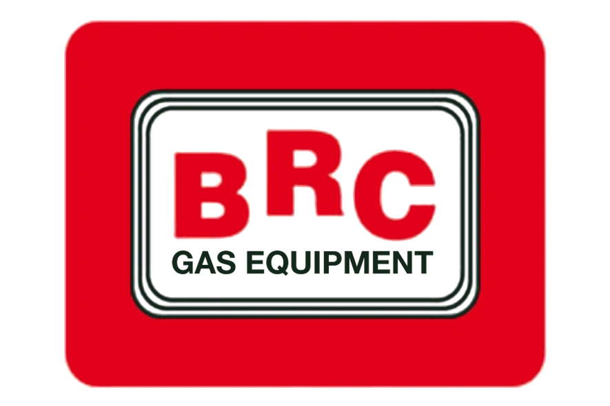 Ремкомплект для редуктора BRC Genius Max до 2016 года выпуска (02RR00502505) Ремкомплект для редуктора BRC Genius Max до 2016 года выпуска (02RR00502505)