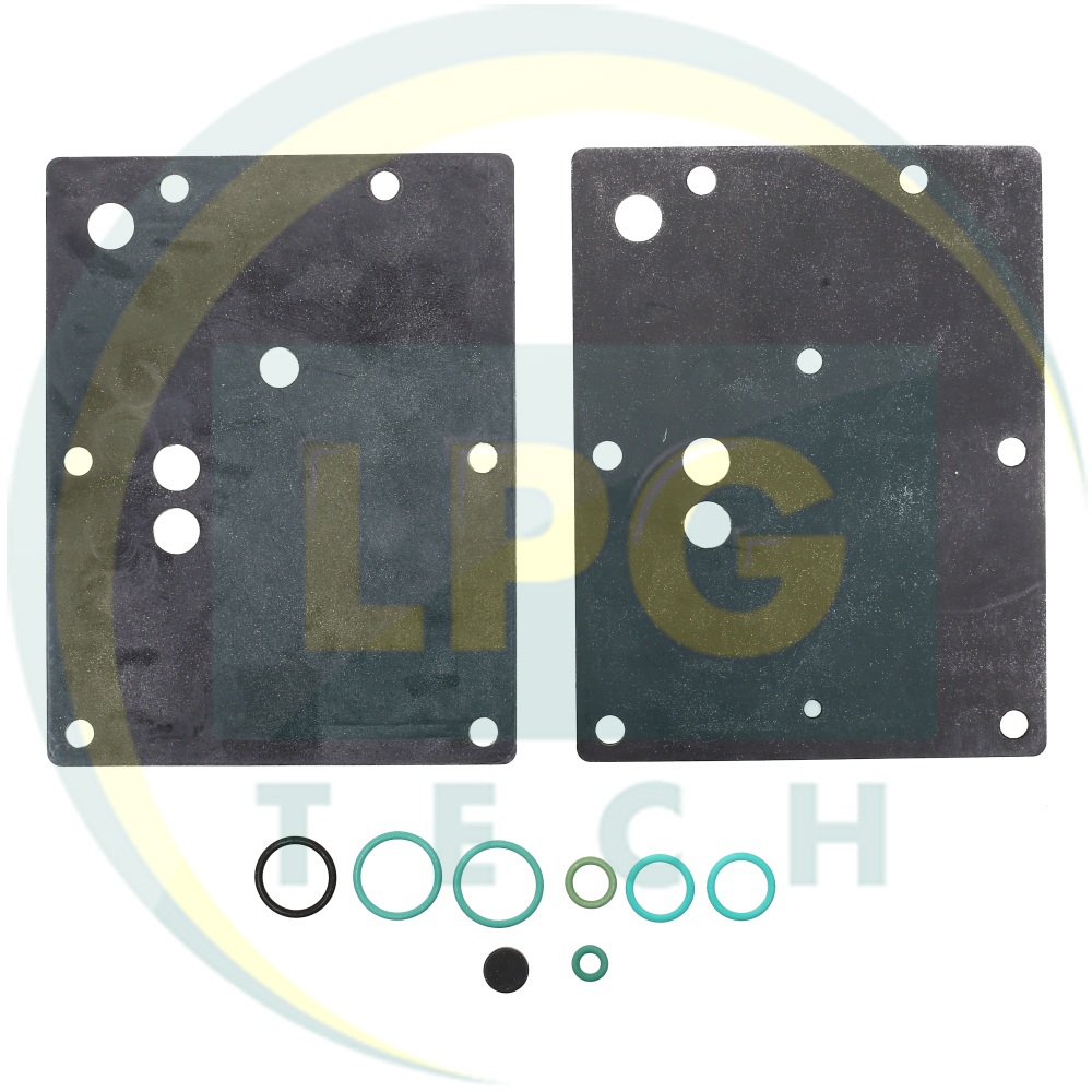 Ремкомплект для редуктора BRC Genius Max до 2016 года выпуска (02RR00502505)