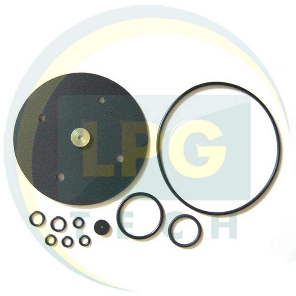 Ремкомплект для редуктора Bigas RI.21 с шайбой (Memtex, Болгария)