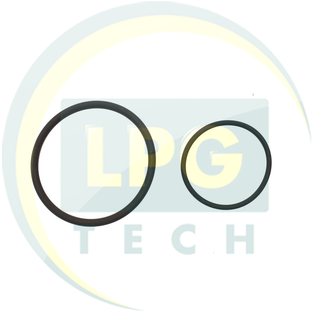 Кольцо под фильтр в редуктор Alex Shark 1200/1500 (2 шт.)