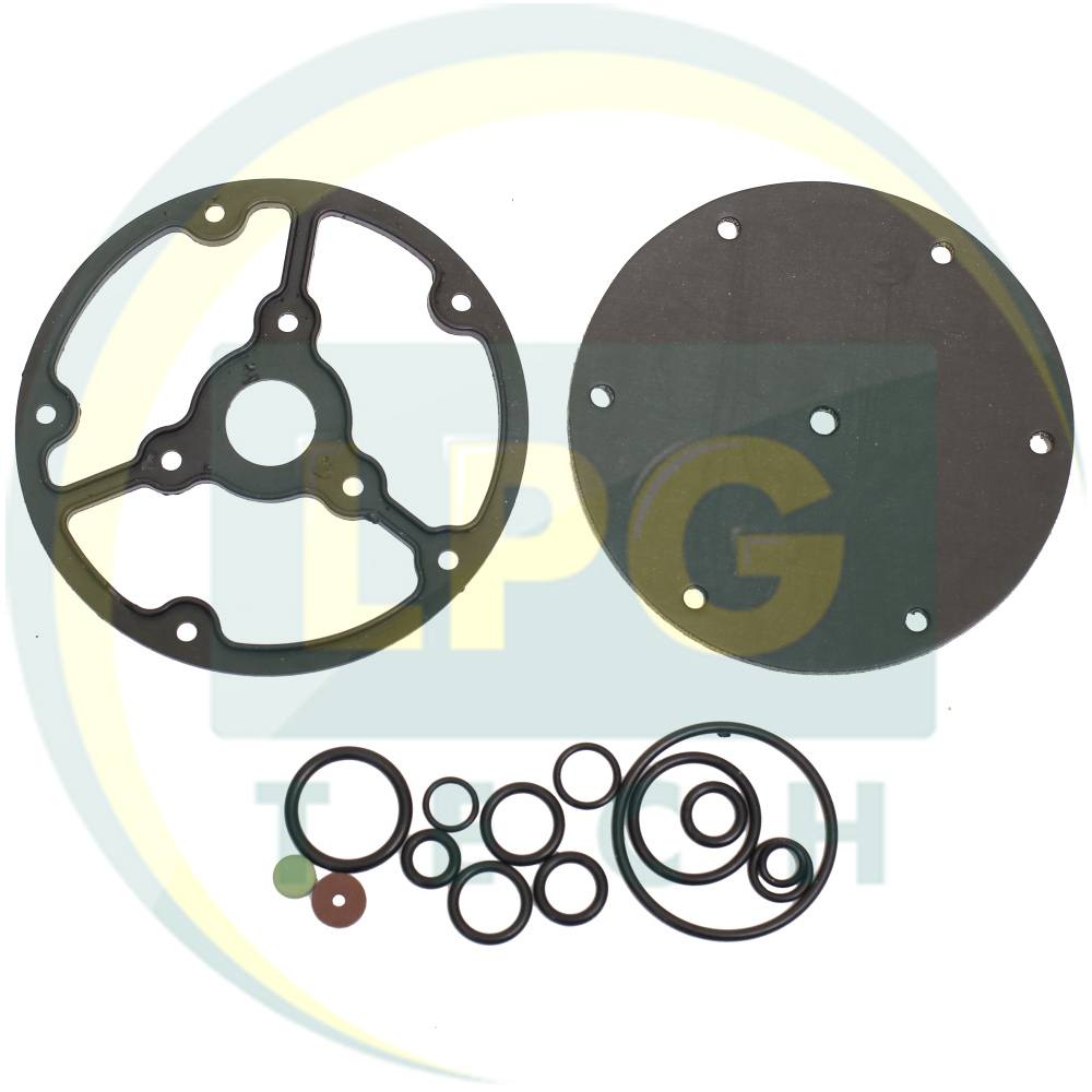 Ремкомплект для редуктора Torelli Taurus нового образца (v.1)