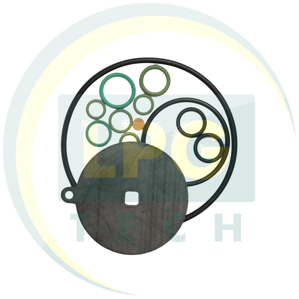 Ремкомплект для редуктора OMVL CPR (Е 02024501)