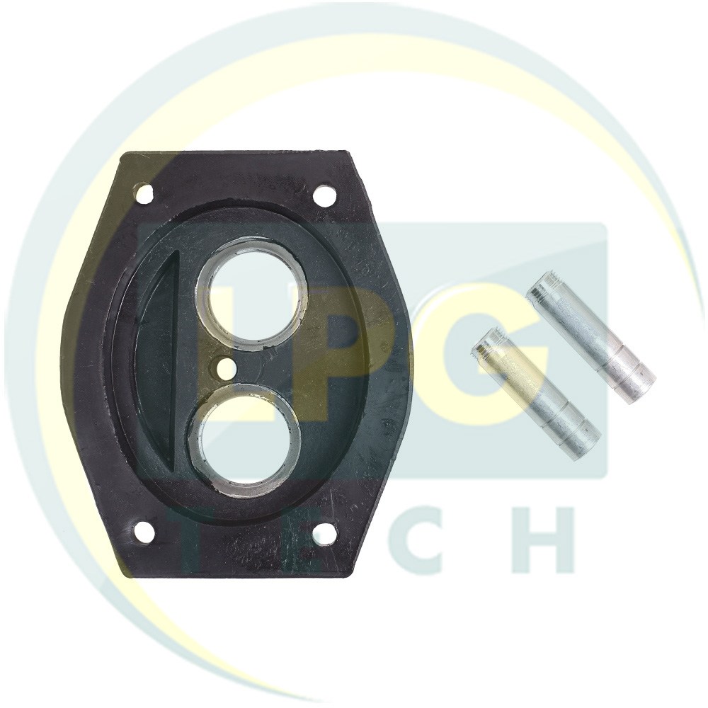 Смеситель Lada Skoda (2 штуцера входа)