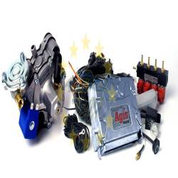 Инжекторная система AGIS 8 (Редуктор Tomasetto Artik + Форсунки Alex + фильтр)