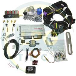 Мини-комплект STAG-300 Premium 4 цилиндра (Редуктор Tomasetto Alaska/Artic/OMVL CPR/Diego Silver, Форсунки Valtek (3, 2 Ом)/OMVL)