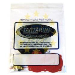 Ремкомплект для редуктора Tartarini LPG G-79SE, (Италия)