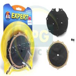 Ремкомплект для редуктора Stefanelli GEO Expert AG