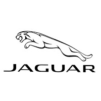 Jaguar Jaguar